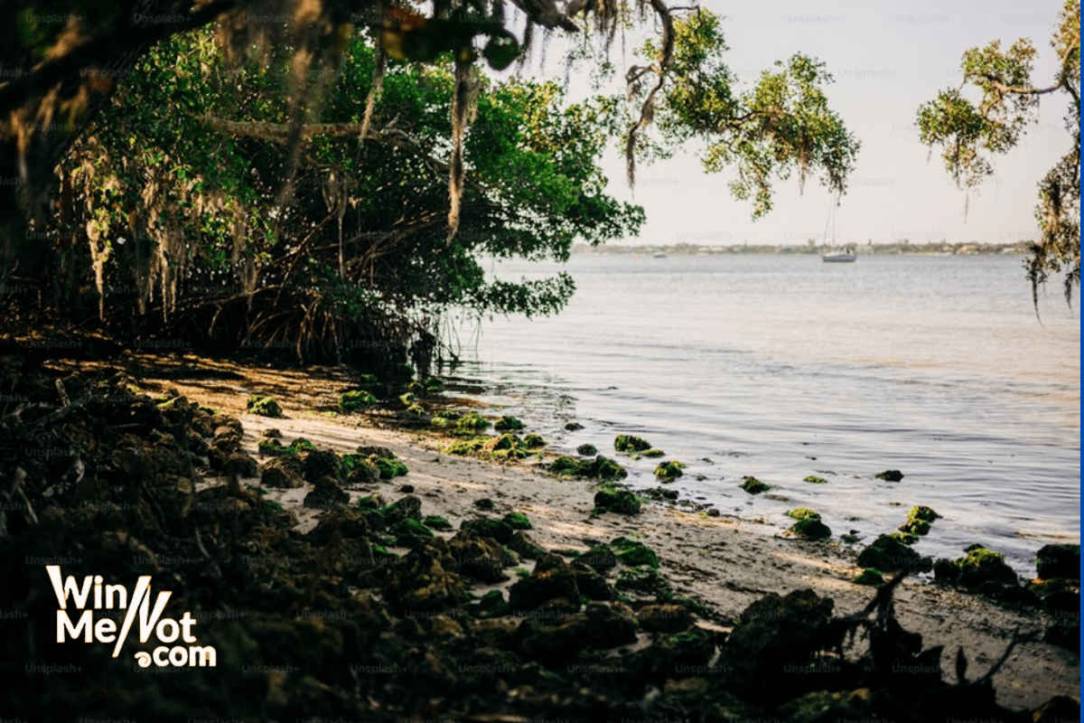 Top 10 Beaches in Florida