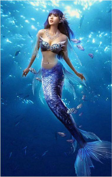 What is Mermaid