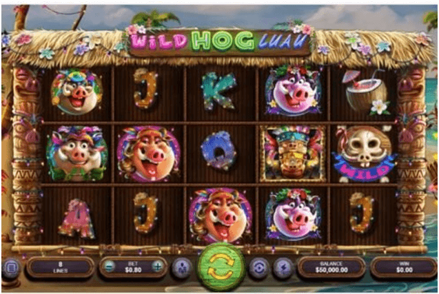 Wild Hog Luau slot features