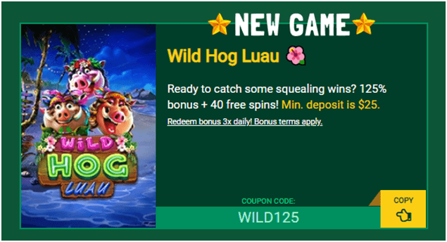 Wild hog slot -Fair Go Casino