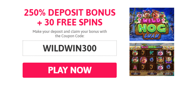 Wild Hog Luau Slot - Hog party in the Hawaiian style Coupon codes for slots