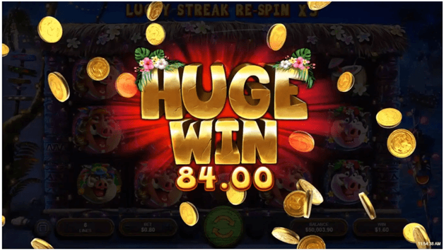 Wild Hog Luau Slot - Hog party in the Hawaiian style Wild hog wins