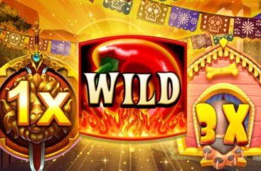 Multipliers Scatters and Wilds in Slots