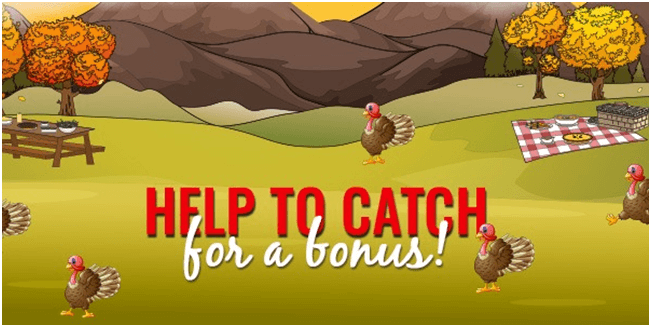 thanksgiving coupons